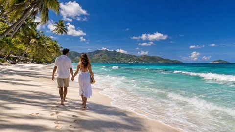 Beach Day: Turquoise water, white sand and breezy light.