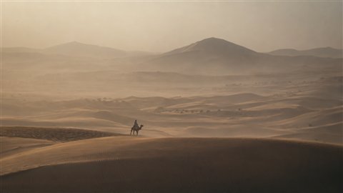 Desert Epic: Vast dunes, dust and tiny figures in muted widescreen.