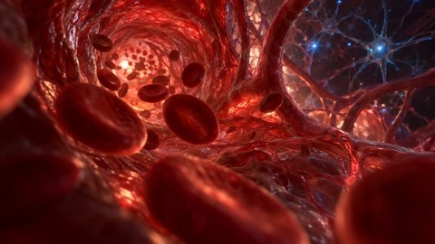 Inner Body Voyage: A camera gliding through veins, cells and sparking neurons.