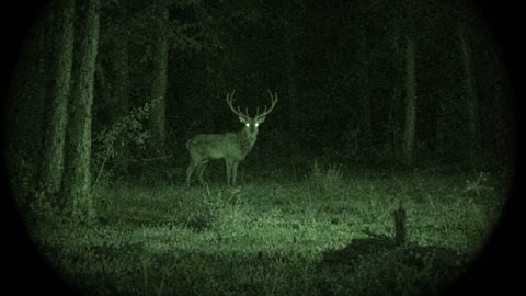 Night Vision: Green infrared footage with grain and glowing eyes.